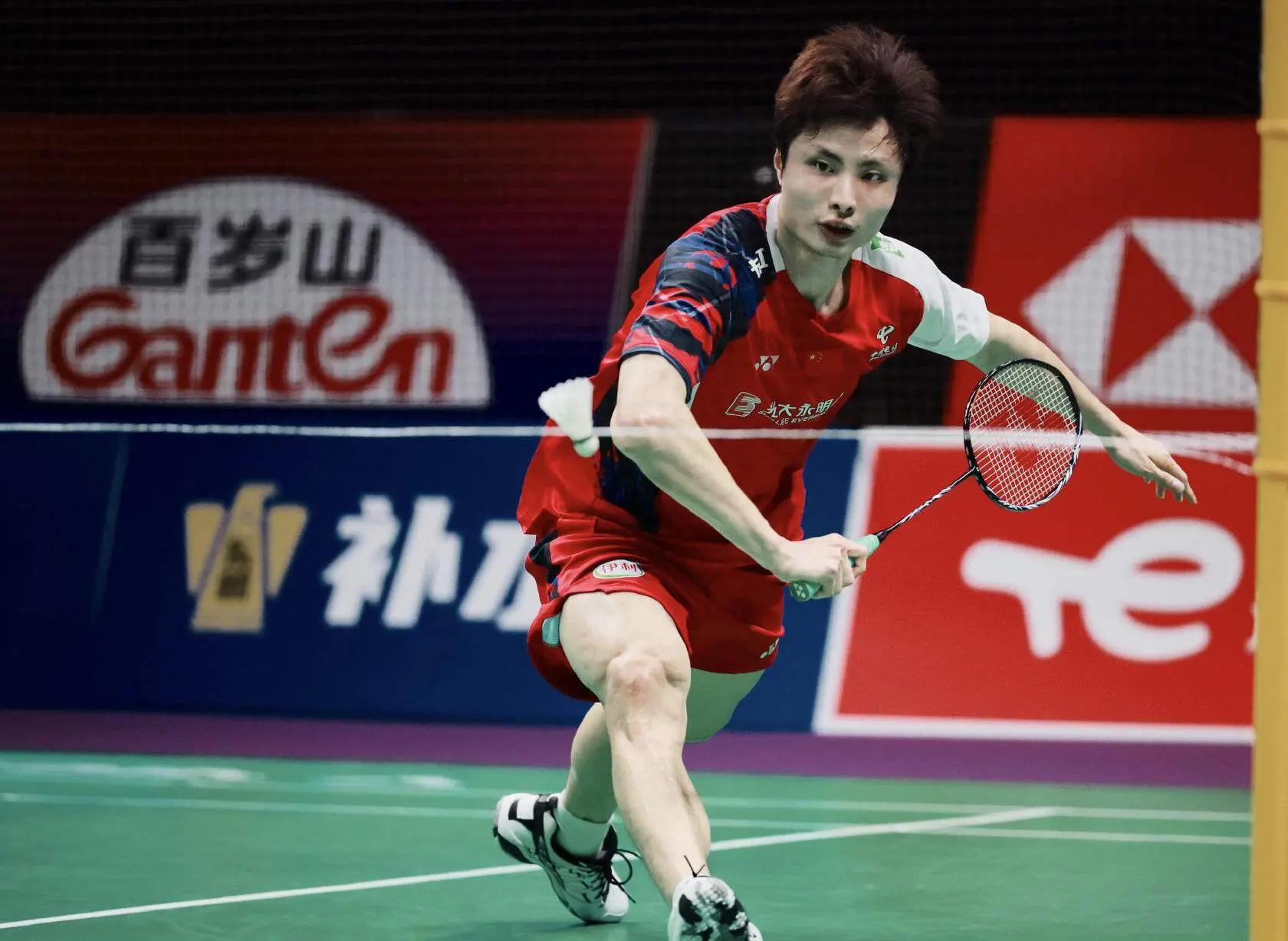 振邦和魏雅 振邦和魏雅